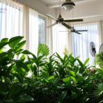 indoor plant ventilation